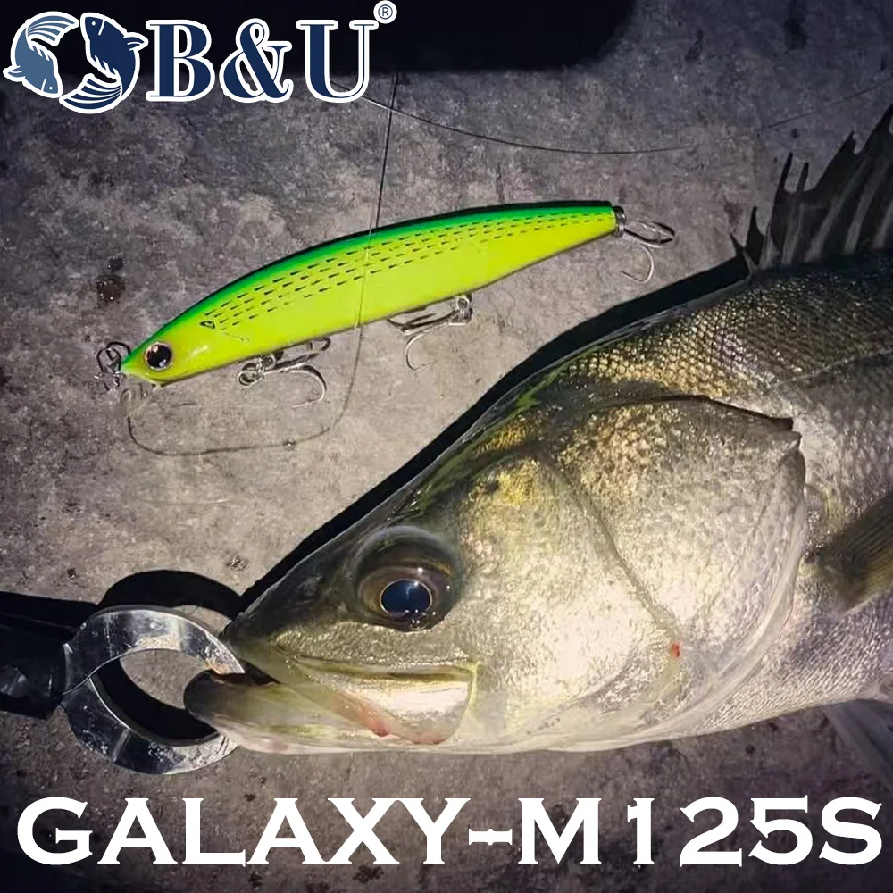 B&U 125mm Sinking Minnow Sea F - Fishing Lure Jerkbait 리뷰 및 가격