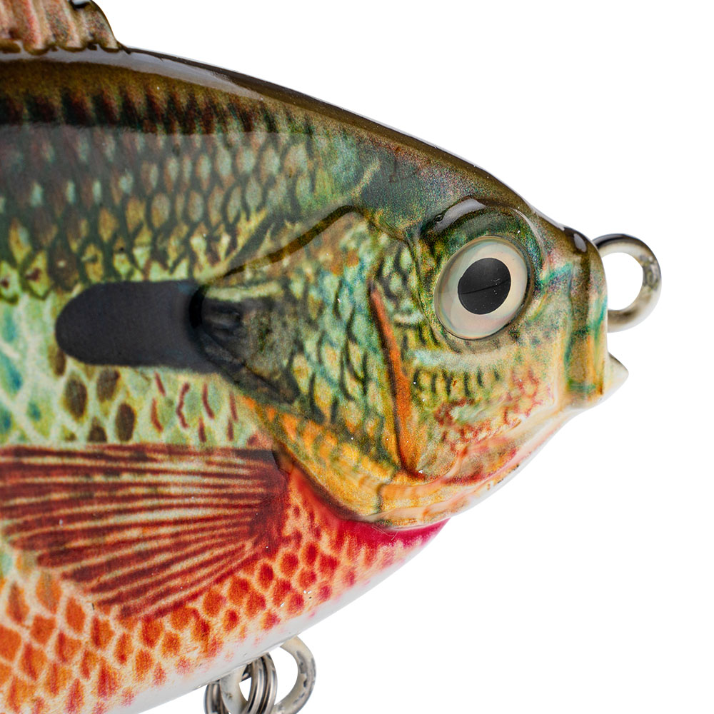 Suspension Fishing Lure 140mm  - Fishing Lure Popper 리뷰 및 가격